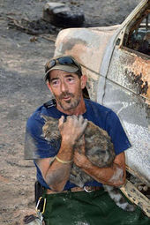 cat survives wildfire