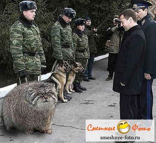 Russian Army