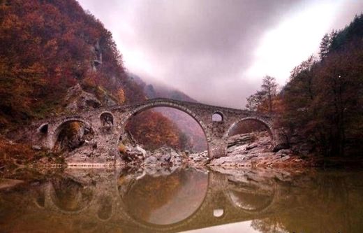 Mirror symmetry