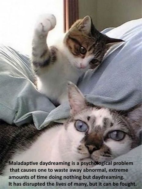 Daydreaming