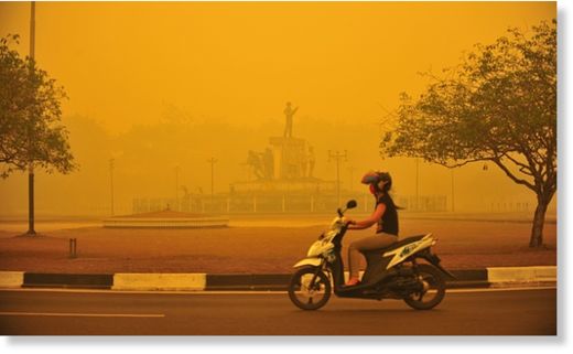 Indonesia wildfires