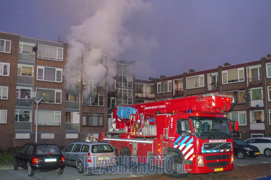 brand