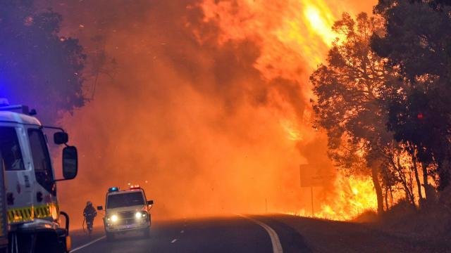 wildfire australia natuurbrand