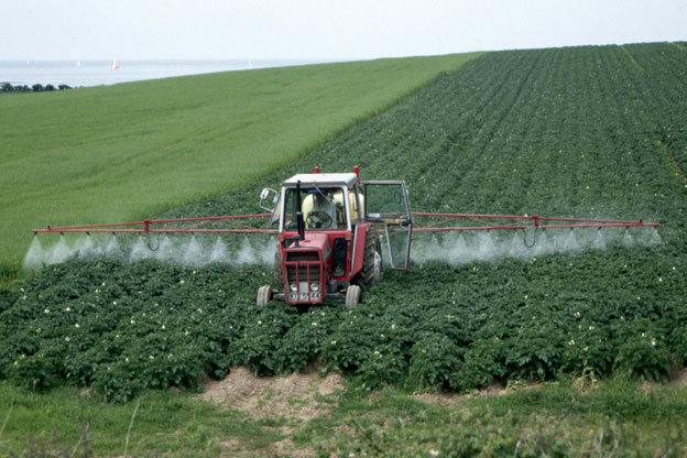 pesticiden gezondheid