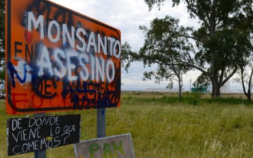 Monsanto asesino