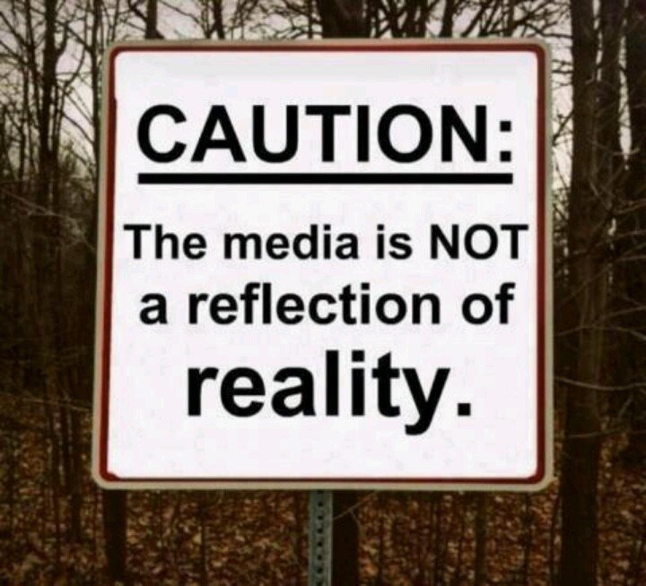 media false reality