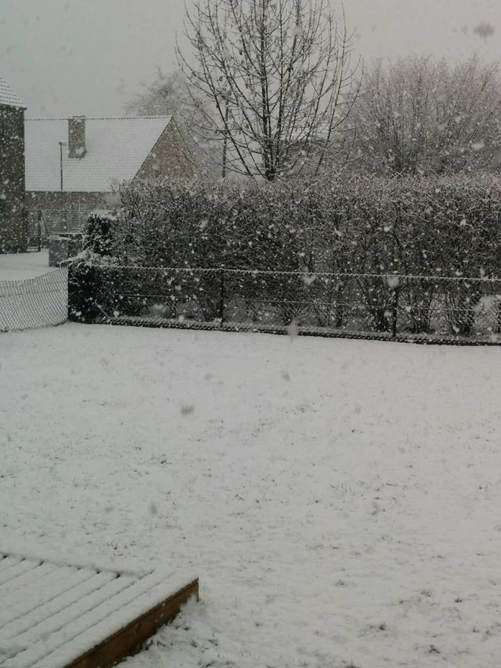 mol sneeuw