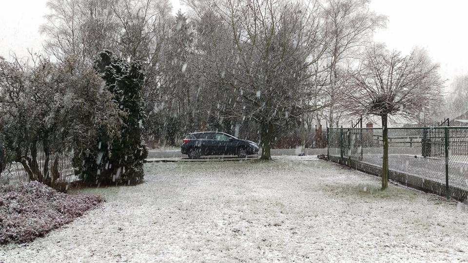lommel sneeuw