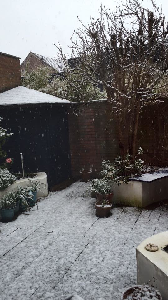 sint-truiden sneeuw