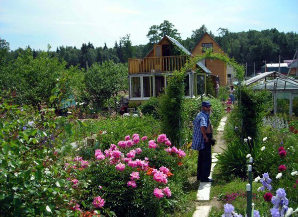 dacha tuinieren Rusland biologisch voedsel