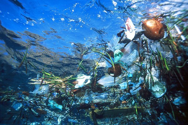 plastic in ocean