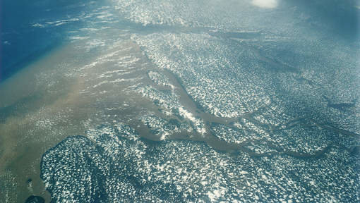 koraalrif Amazonerivier