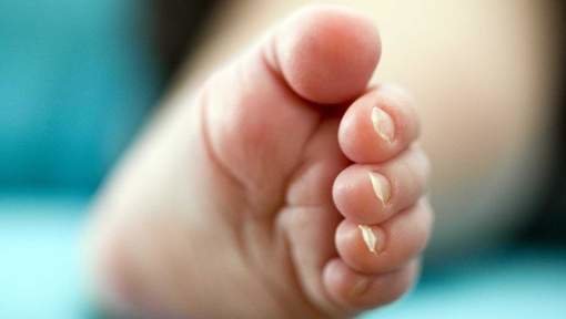 Babysitters Turnhout