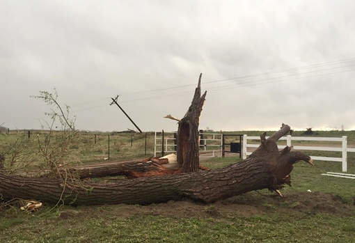 tornado colorado