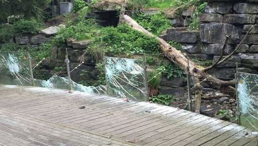 Vernieling dierenpark Emmen