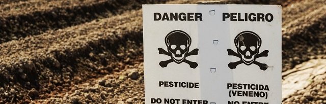 monsanto bayer