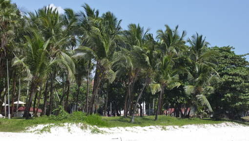 Kenia moord