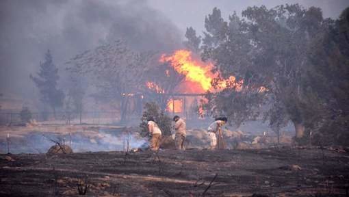 natuurbrand californië