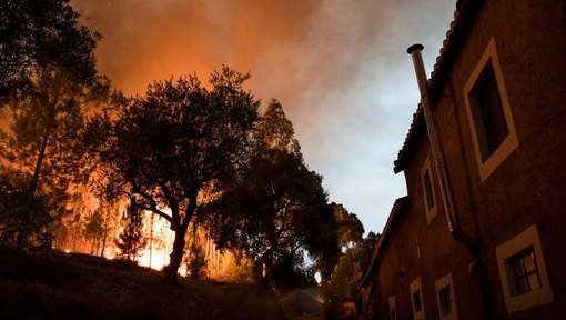 natuurbrand portugal