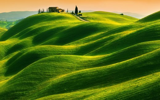 Tuscany grassland