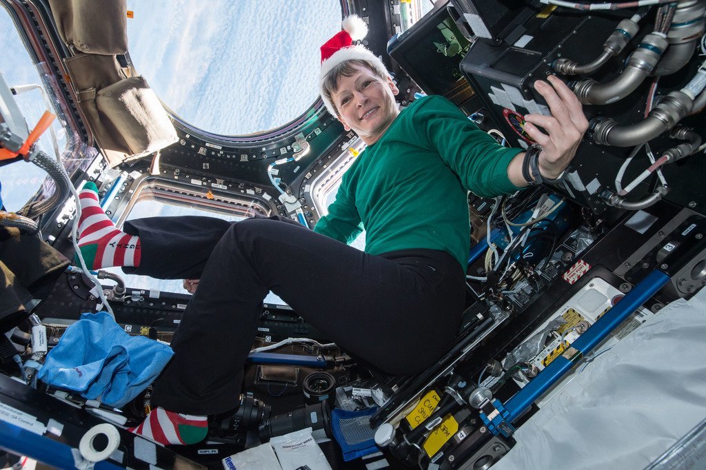 Astronaut Peggy Whitson