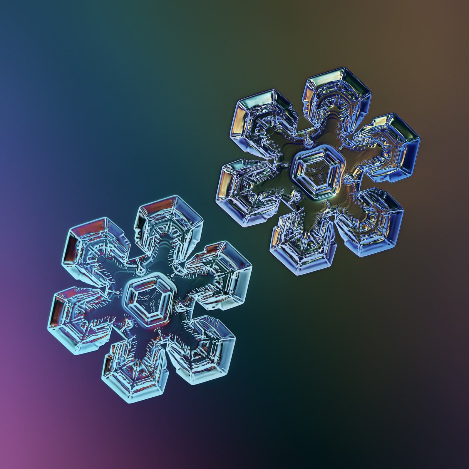 Snowflakes