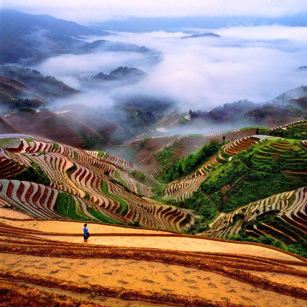 Dragon's Backbone Rice Terraces, China