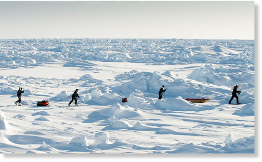 Noordpool expeditie
