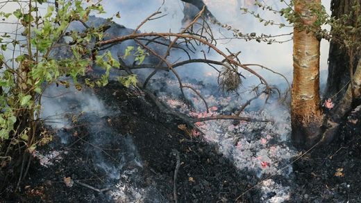natuurbrand enschede