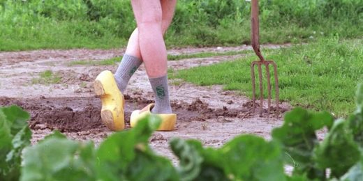 Biologische landbouw