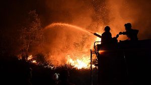 Bosbranden Centraal Portugal