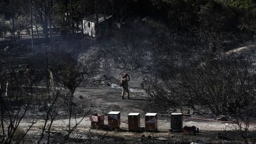 griekenland bosbranden