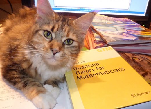 Pikabu, Quantum Theory for Mathematicians