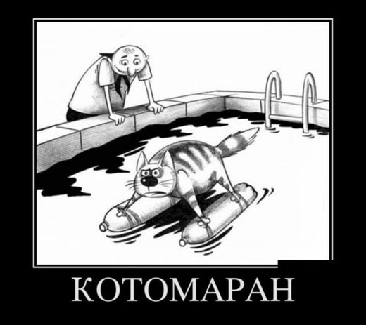 Kotomaran