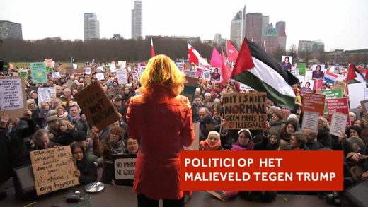 Demonstratie Malieveld tegen Trump