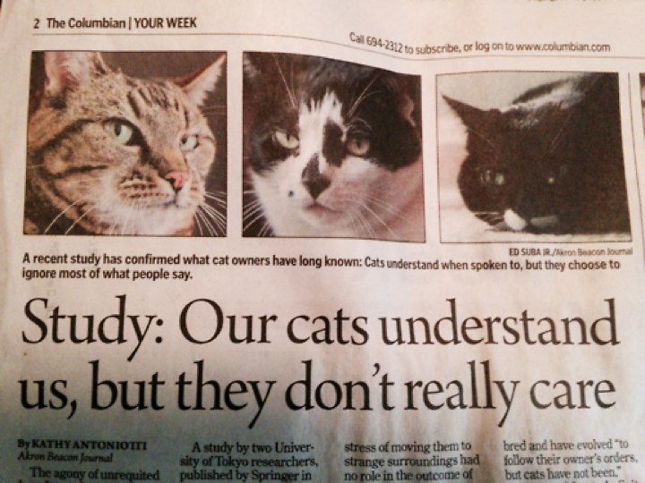 Klik om te vergroten Our cats understand us