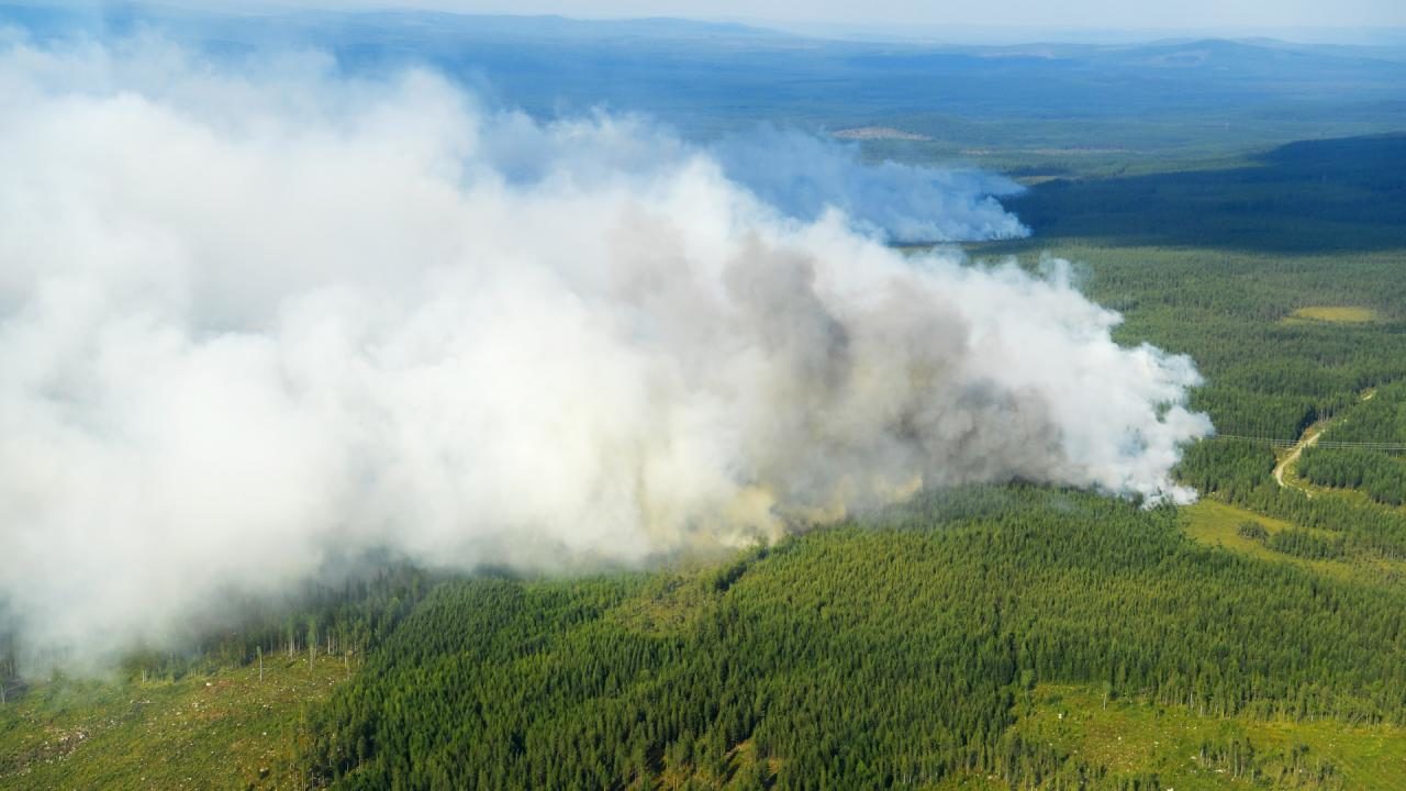 Bosbranden Zweden