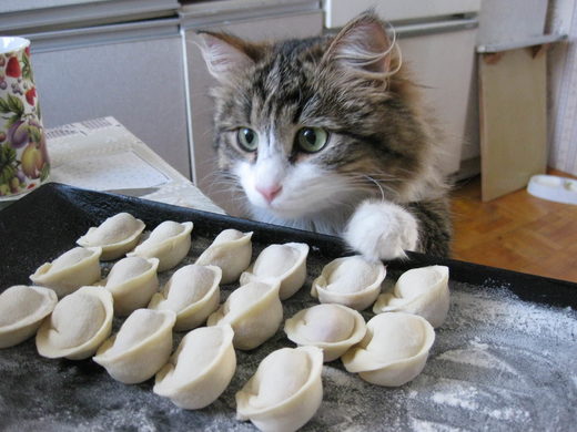 Pierogi