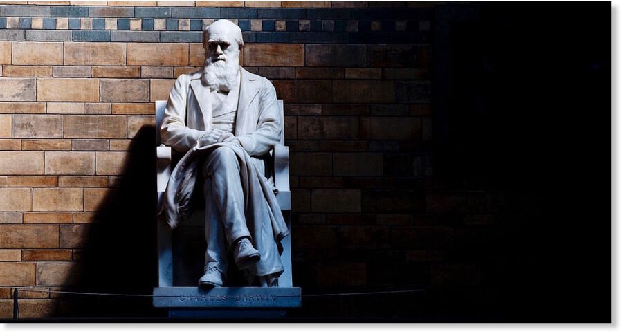 Klik om te vergroten standbeeld van darwin