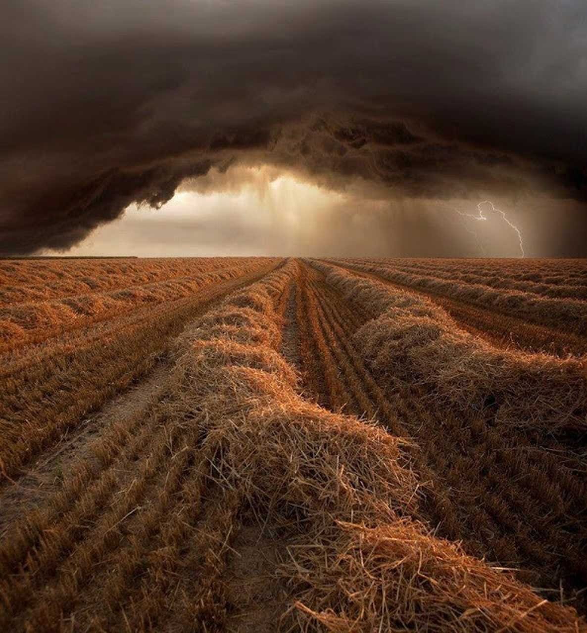Harvest storm