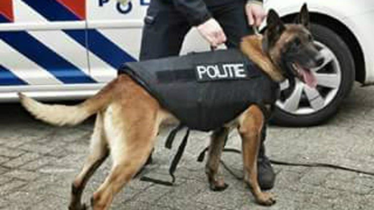 politiehond