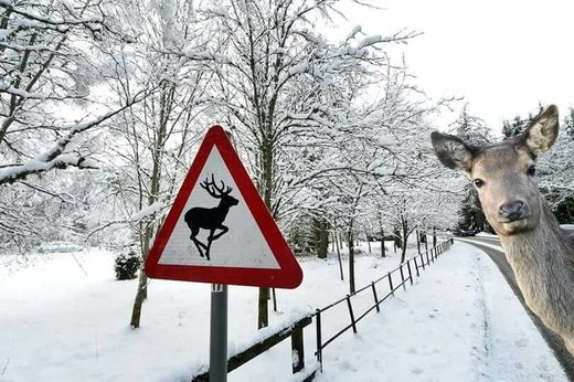 Signs are important