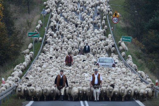 Meanwhile in Poland