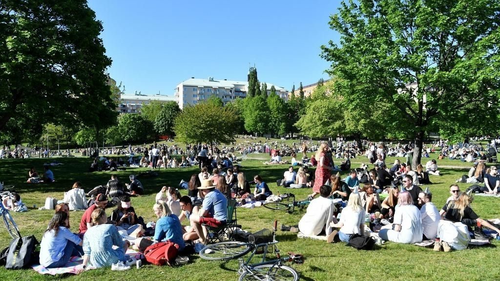 picnics in Sweden