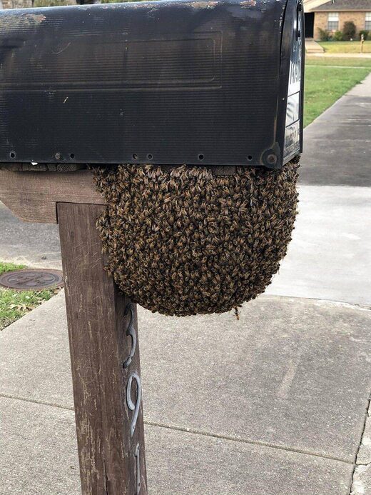 Better check your mail every day