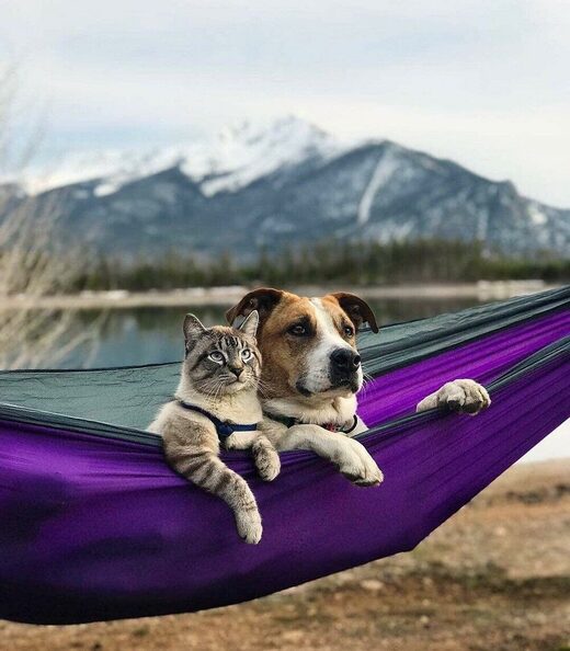 Friends forever