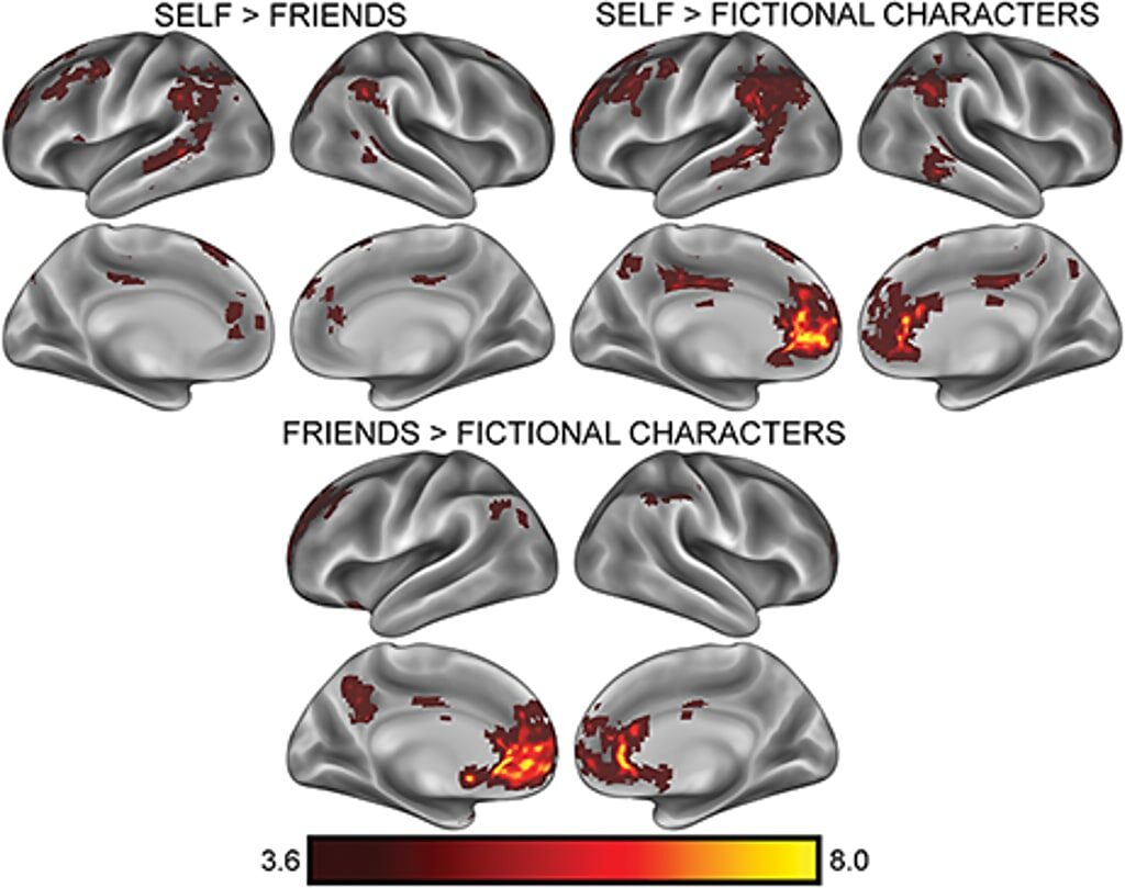 identifiation fiction characters brain scan