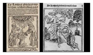Medieval Witch Hunts