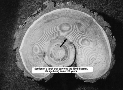 Dwarsdoorsnede van een Toengoeska-boom. De zwarte pijl toont het jaar 1908. De ringen na de gebeurtenis duidelijk breder