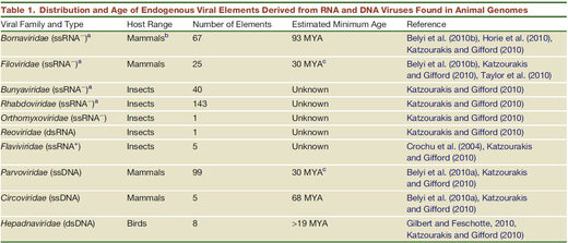 Datering van de integratie van virussen in het genoom van de gastheer